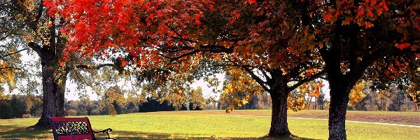 Ławeczka, Park, Jesień