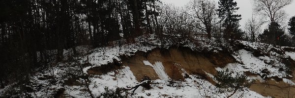Drzewa, Połamane, Skarpa