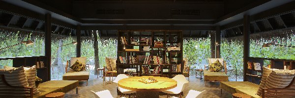 Książki, Regał, Pokój