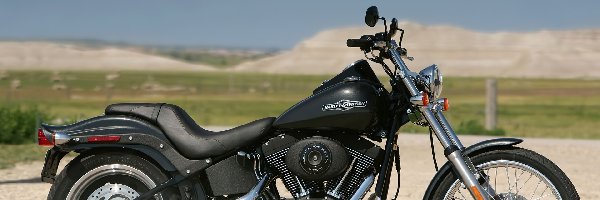 Harley Davidson Softail Night Train