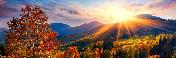 Góry, Łąki, Wschód Słońca, Jesień, Drzewa