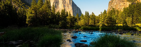 Rzeki, Park Narodowy Yosemite, Góry Sierra Nevada, Stan Kalifornia, Stany Zjednoczone, Dolina, Las