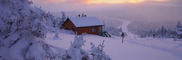 Ośnieżone, Śnieg, Góry, Domek, Las