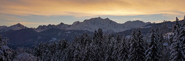 Las, Śnieg, Góry, Zima