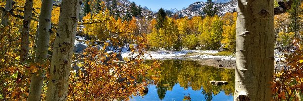 Góry, Park Narodowy Yosemite, Jezioro, Drzewa Jezioro, Stan Kalifornia, Stany Zjednoczone