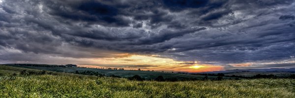 Słońca, Trawy, Chmury, Zachód