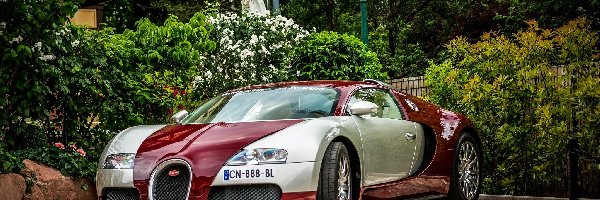 Auto, Dom, Posesja, Bugatti Veyron