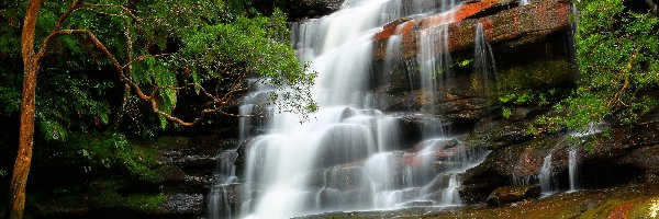 Nowa Południowa Walia, Brisbane Water National Park