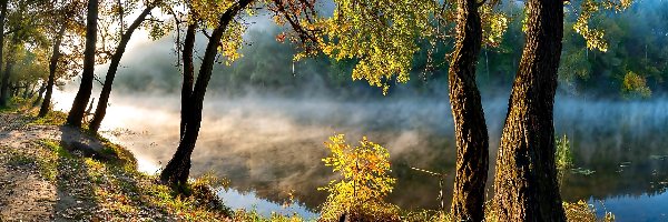 Rzeka, Drzewa, Brzeg, Mgła, Jesień