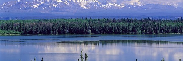 Willow, Narodowy, Park, Alaska