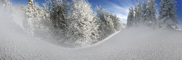 Śnieg, Drzewa, Księżyc, Zima