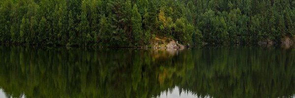 Las, Jezioro