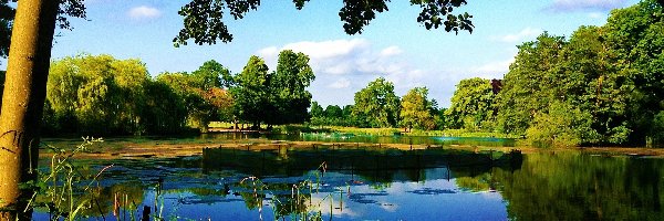 Park, Jezioro