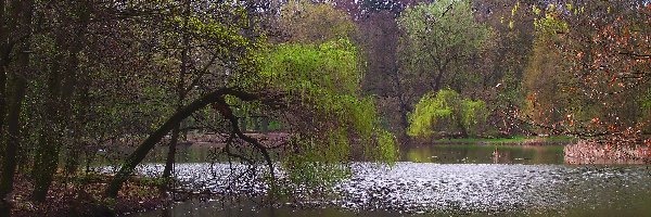 Wiosna, Staw