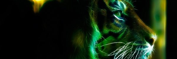 Tygrys, Fractalius