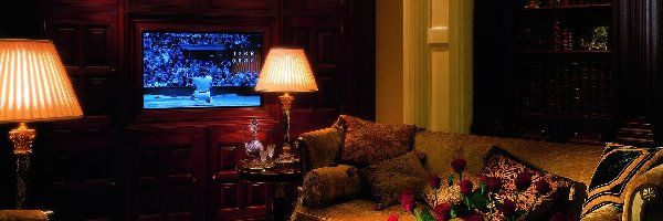 Biblioteka, Telewizor, Wersalka, Pokój