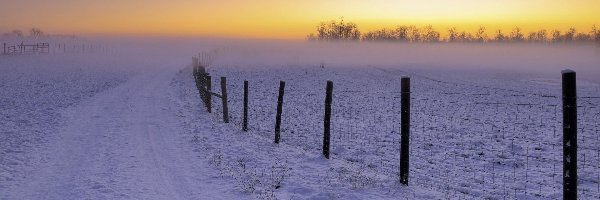 Pole, Droga, Śnieg, Wschód słońca, Ogrodzenie