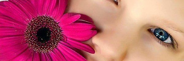 Gerbera, Kwiat, Dziewczynka