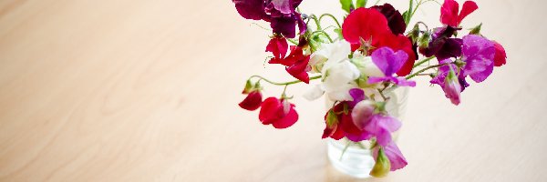 Bukiecik, Groszek, Pachnący