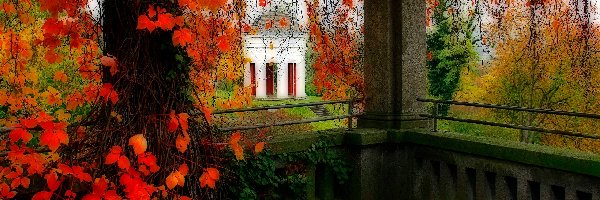 Altana, Jesień, Drzewa, Park
