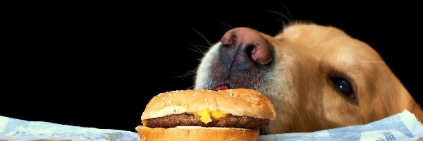 Hamburger, Pies