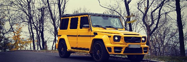 Drzewa, Benz, G63, Mercedes, Żółty, Droga, Jesień