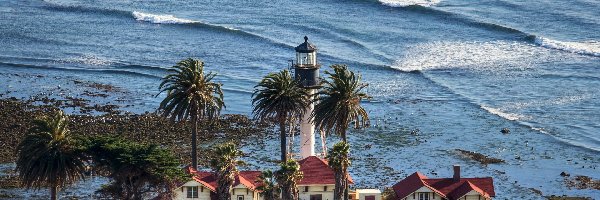 Latarnia Morska, Ocean, Palmy, Domy, San Diego, Stany Zjednoczone