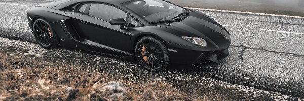 Lamborghini, Droga, Adventador, Mgła, Drzewa