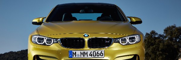 Grill, Ringi, BMW M4