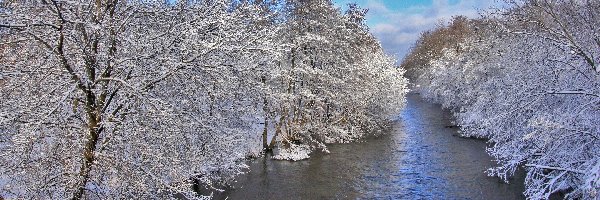 Rzeka, Drzewa, Oszronione, Zima