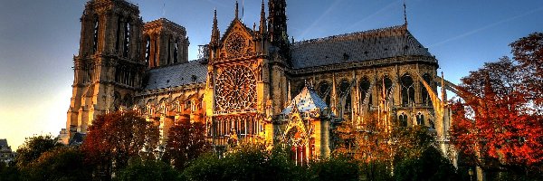Notre Dame, Katedra