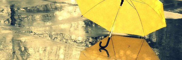Parasolka, Żółta, Deszcz