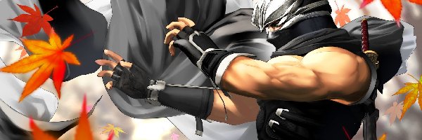 Ryu Hayabusa, Dead Or Alive Dimension