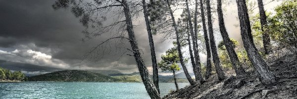 Chmury, Skarpa, Sosny, Jezioro