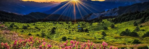 Promienie, Kwiaty, Słońca, Góry