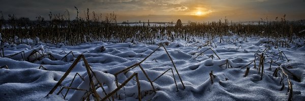 Zachód, Pola, Słońca, Zima, Śnieg