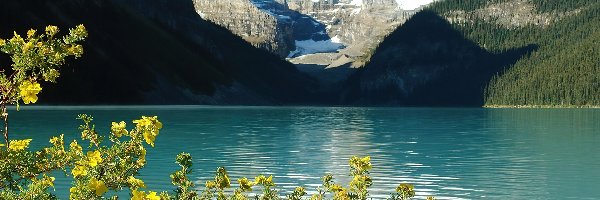Jezioro Louise, Kwiaty, Góry, Kanada