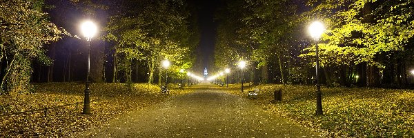 Drzewa, Oświetlenie, Alejka, Park