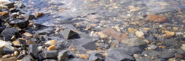 Przejrzysta, Brzeg, Woda, Kamienie