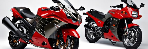 Ninia ZR 14, Kawasaki