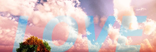 Drzewo, Love, Napis, Samotne