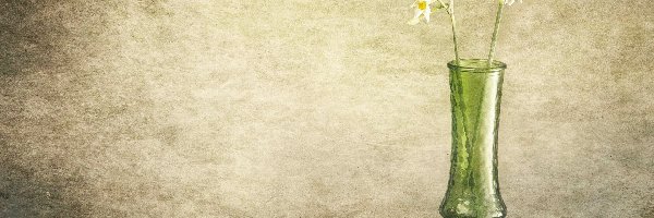 Grafika, Kwiaty, Wazon, Książka, Narcyz