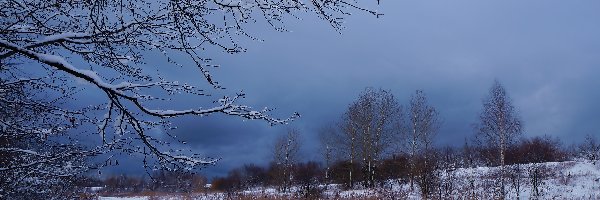Ciemnie, Gałęzie, Śnieg, Chmury, Drzewa, Zima