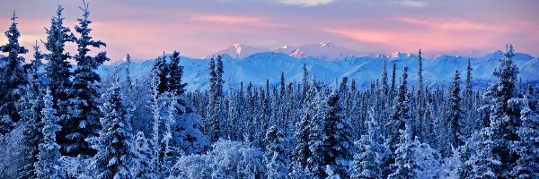 Alaska, Wschód, Słońca, Zima, Lasy, Góry