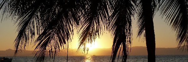 Słońca, Palma, Morze, Zachód
