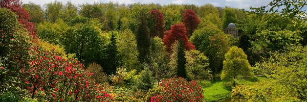 Park, Kolorowe, Altana, Krzewy, Drzewa