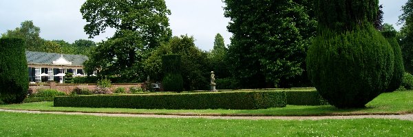 Drzewa, Budynek, Park