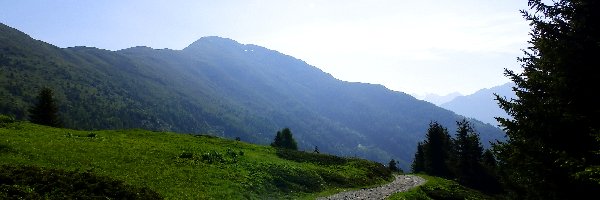 Łąka, Góry, Drzewa, Droga