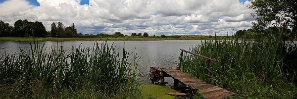 Pomost, Trzcina, Jezioro