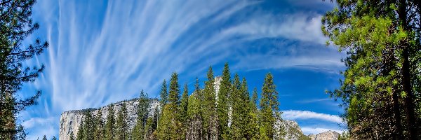 Niebo, Park Narodowy Yosemite, Drzewa, Góry, Stan Kalifornia, Stany Zjednoczone